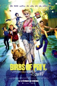 Birds of Prey (2020) Dual Audio [Hindi-Englsh] Movie Full WEB-BL 720p & 1080p