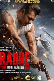 Radhe (2021) Hindi Movie WEB-BL 420p , 720p , 1080p