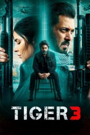 Tiger 3 (2023) Hindi Dubbed HD WEB BL 420p . 720p & 1080p