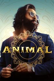 Animal (2023) Hindi Dubbed FULL Movie NF WEB -BL 420p. 720p .1080p & 2160p 4k