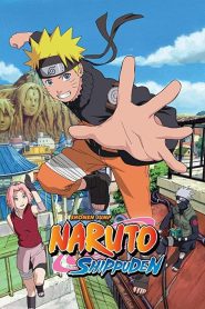 Naruto Shippuden (2024) Season 1 Dual/Multi Audio [Hindi ORG, Jap & ENG] WEB-DL 720p & 1080p HEVC | [Epi 1-32 Added]
