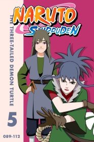 Naruto: Shippuden – Season 5 [Episode 89-110 Added !] Multi-Audio {Hindi-English-Japanese} Anime Series 720p | 1080p WEB-DL