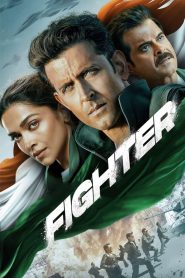 Fighter (2024) Hindi Full Movie NF WEB-DL DD5.1 480p 720p