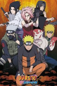 Naruto Shippuden (2024) Season 1-8 Dual/Multi Audio [Hindi ORG, Jap & ENG] WEB-DL 720p HEVC | [Epi 1-169 Added]