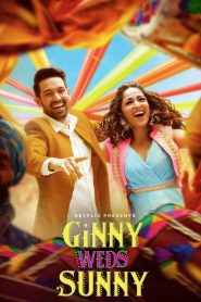 Ginny Weds Sunny (2020) Dual Audio Hindi Movie WEB-BL 720p