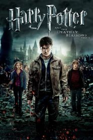 Harry Potter and the Deathly Hallows: Part 2 (2011) Dual Audio [Hindi ORG & ENG] EXTENDED BluRay 480p, 720p & 1080p