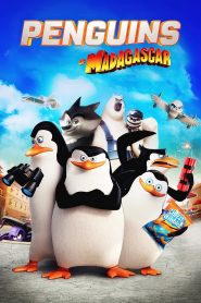 Penguins of Madagascar (2014) Dual Audio Hindi Movie WEB-BL 720p