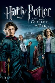 Harry Potter and the Goblet of Fire (2005) Dual Audio [Hindi ORG & ENG] EXTENDED BluRay 480p, 720p & 1080p