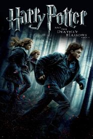 Harry Potter and the Deathly Hallows: Part 1 (2010) Dual Audio [Hindi ORG & ENG] EXTENDED BluRay 480p, 720p & 1080p