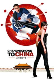 Chandni Chowk to China (2009) Hindi HDRip 480p 720p GDrive