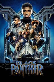 Black Panther (2018) Dual Audio Hindi OGR-English Full Movie WEB-BL 720p