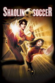 Shaolin Soccer (2001) BluRay Dual Audio 480P 720P [English+Hindi DD2.0]