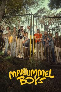 Manjummel Boys (2024) Hindi Dubbed Movie Full HD WEB-BL 720p & 1080p